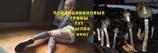 а пвп мука Армянск