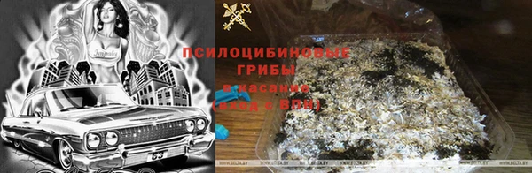 скорость Аркадак